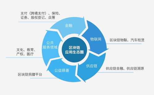 探索与评估，区块链的可提取价值及其潜力指标研究
