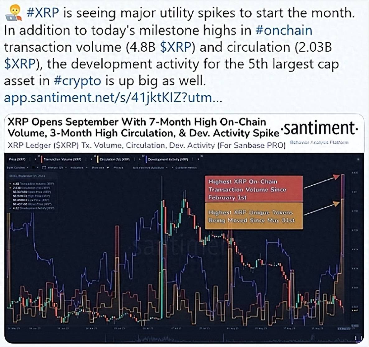 XRP对机构投资者的吸引力日益增强之缘由