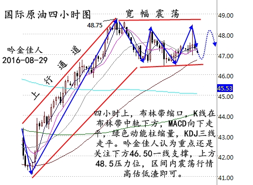海象（WAL）价格预测，未来五年（2025-2029）展望及是否会达到2.6美元的可能性分析
