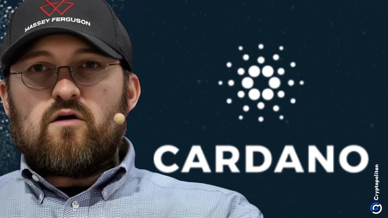 Cardano创始人发起大规模空投，终结加密货币部落主义——XRP持有者的新机遇