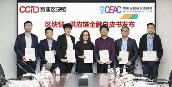 中央财富集团任命区块链专家为执行董事，引领数字化转型，开启新篇章