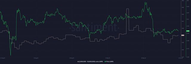 RUVI能否超越XRP，投资者蜂拥背后的奖金激励与市场潜力深度解析