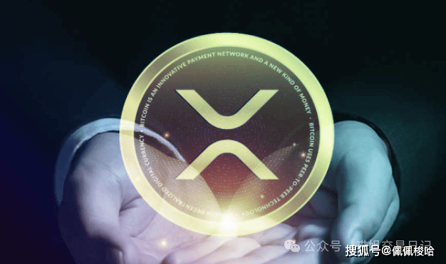 价值逾亿美元的XRP价格上涨背后的神秘易手揭秘